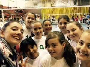 MinivoleyFEM